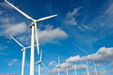 {{brizy_dc_image_alt imageSrc=